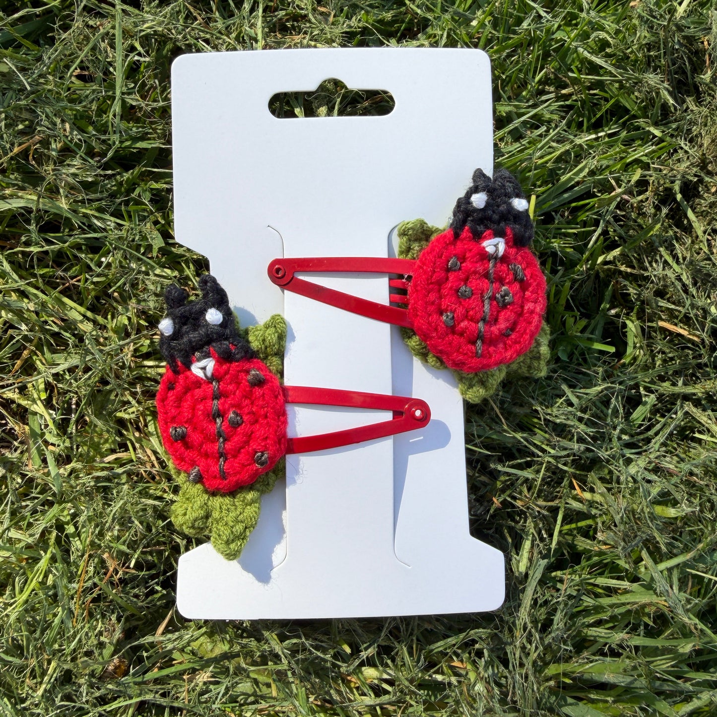 Ladybug Clips