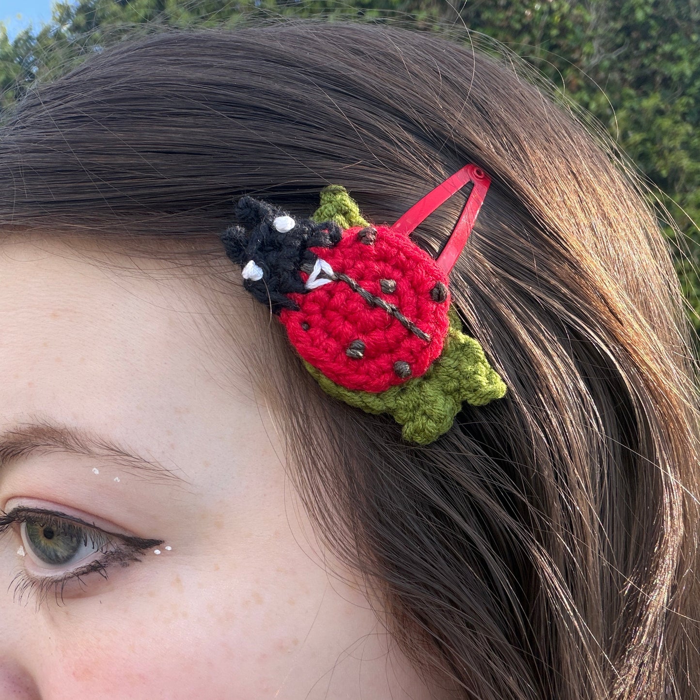 Ladybug Clips