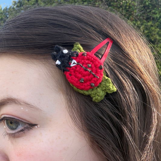 Ladybug Clips